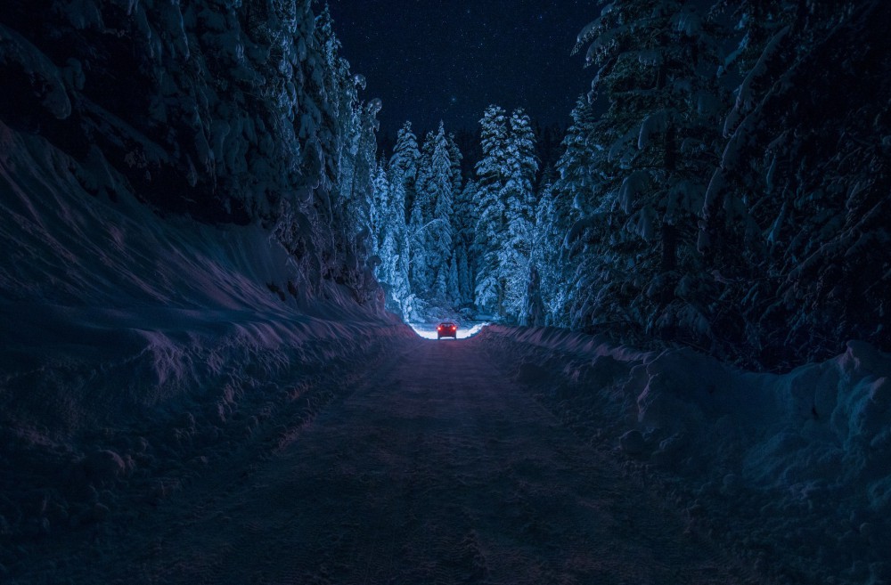 森林道路雪风景高清壁纸