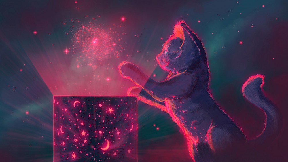 小猫幻想艺术星星红色高清2k壁纸