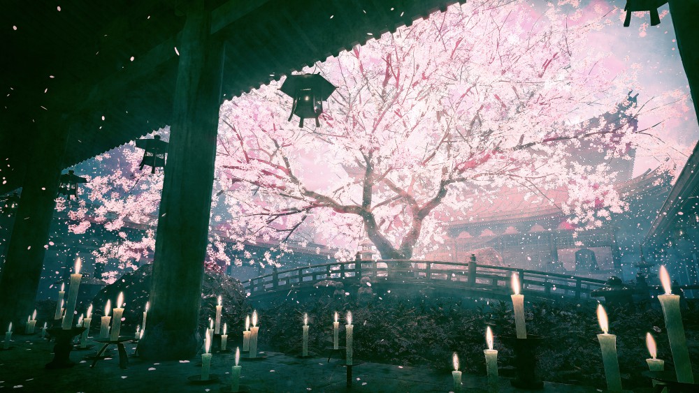 樱花盛开5k电脑桌面壁纸(5184x2916)