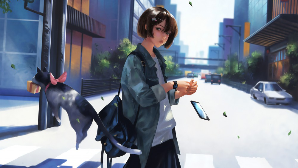 人行横道女孩和猫4k壁纸