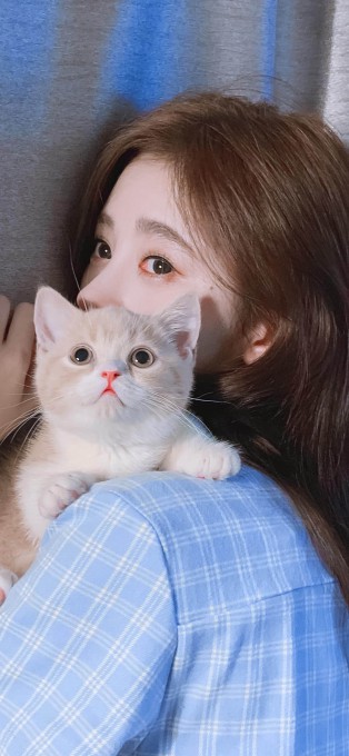 女神鞠婧祎与可爱的小猫咪高清手机壁纸(1242x2688)