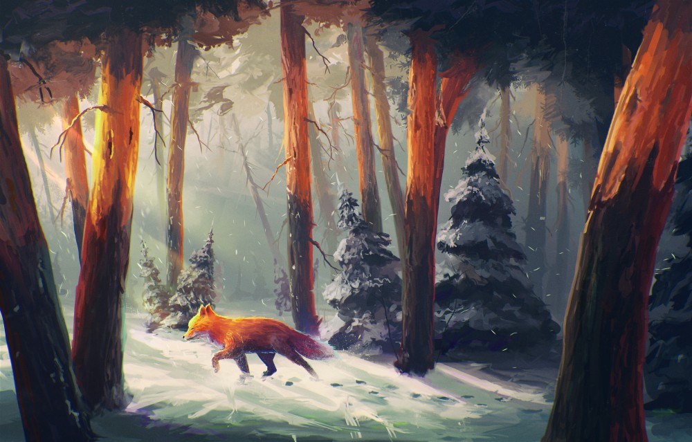 森林中行走的狐狸2k电脑桌面壁纸(3500x2238)