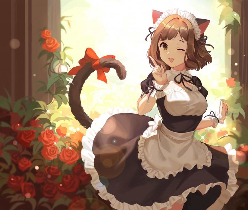 《偶像大师：灰姑娘女孩》前川未来高清壁纸