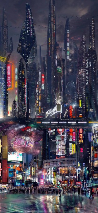 风景