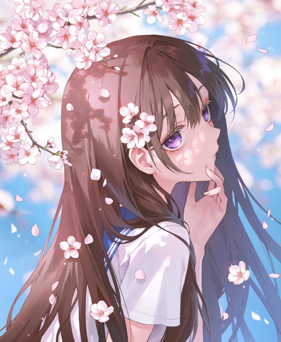 2k手机壁纸