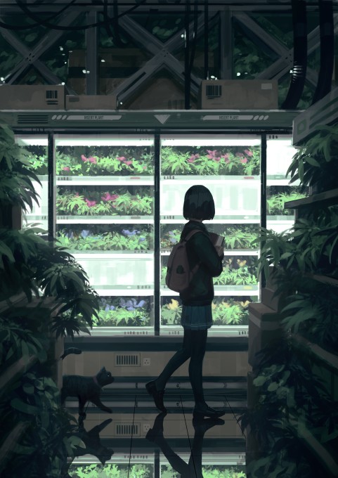 2k手机壁纸