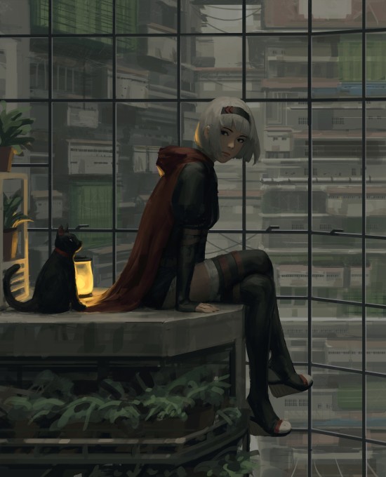 2k手机壁纸