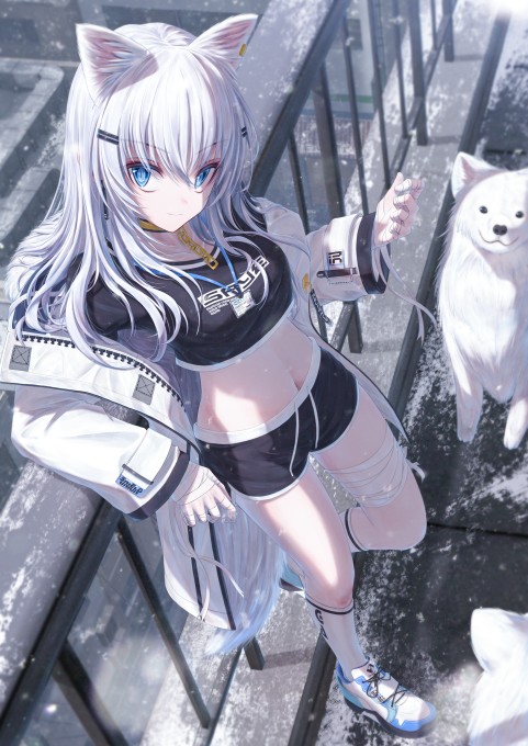 4k手机壁纸