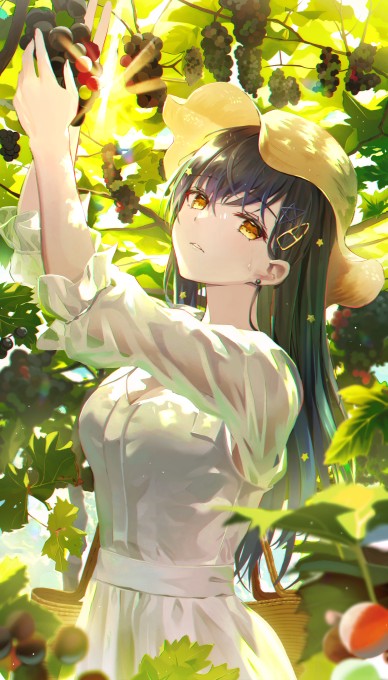 2k手机壁纸