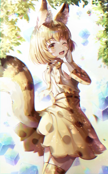 薮猫4k手机壁纸