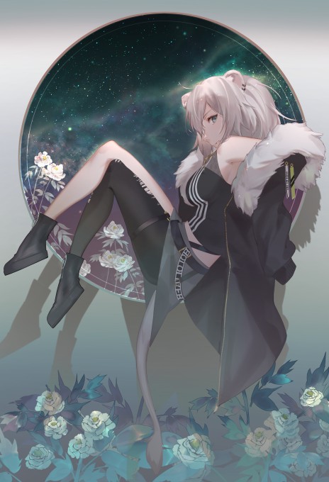 狮白牡丹5k手机壁纸