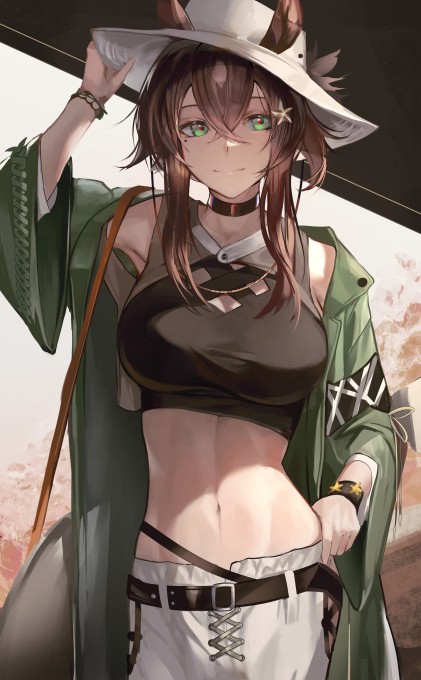 《明日方舟》流星2k手机壁纸(2300x3713)