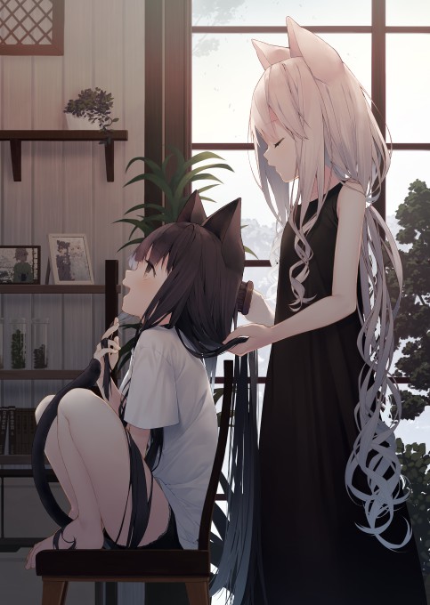 4k手机壁纸